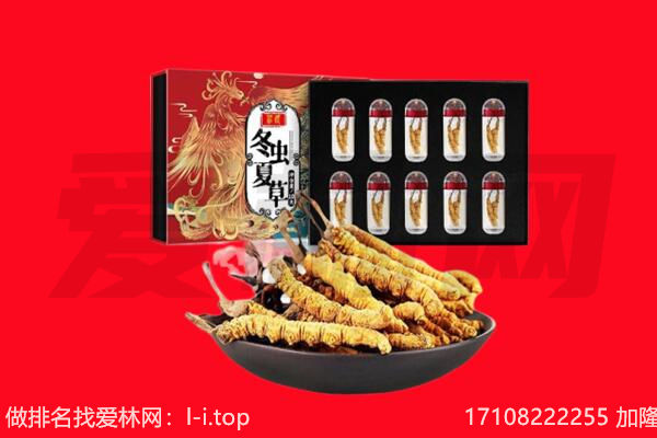成都市金堂回收虫草.jpg